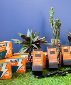 Alternative view of Bộ sạc xe máy điện TM 48v12A